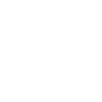 BrandBridge_RGB_dB_reduzida_neg